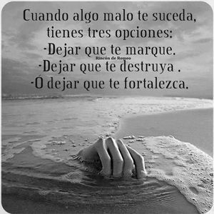 Meet your Posher, Noe